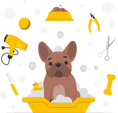 cachorro