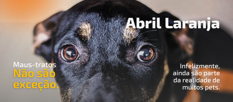 Abril Laranja